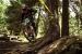 DH | Ruote MTB in Alluminio per Downhill. Mozzi DH-Extreme J-Bend; Raggi Diametro 2mm; Nipples Ottone; Canale Interno Largo 27 mm; Peso 2255 g. Colore Personalizzabile.