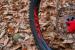 XL27 | Ruote MTB in Alluminio per Enduro ed E-Bike. Mozzi Extreme J-Bend; Raggi Sfinati; Canale Interno Largo 27 mm; Peso 1940 g. Colore Personalizzabile.