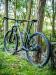 XP-25 | Ruote MTB 29" in Alluminio, per XC e Trail. Mozzi Nitro J-Bend; Raggi Sfinati; Canale Interno Largo 25 mm; Peso 1610 g. Colore Personalizzabile.